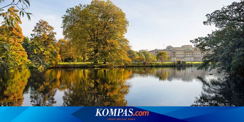 Pertama Kalinya, Taman Istana Buckingham Dibuka untuk Piknik Warga - Vimarsana News