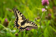 BUMD Kalsel PT Bangun Banua Digeledah Kejaksaan, Diduga Terkait Kasus Korupsi