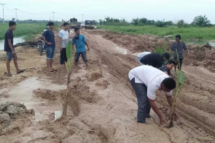 Sejumlah warga menanam pisang dan sawit di jalan yang rusak akibat tak kunjung diperbaiki di Desa Sontang, Kecamatan Bonai Darussalam, Kabupaten Rohul, Riau, Rabu (24/6/2020).