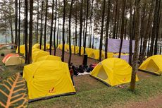 5 Tempat Camping di Mojokerto, Pemandangan Hutan Pinus dan Air Terjun