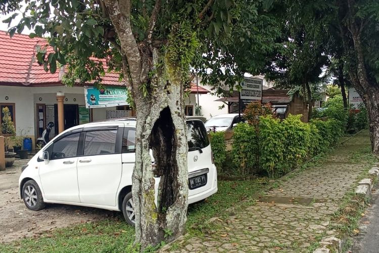 Pohon rambutan yang berbuah lebat meskipun pohonnya berlubang besar, tumbuh di samping halaman kantor lurah Kacang Pedang, Pangkalpinang, Bangka Belitung, Selasa (5/3/2024).
