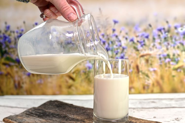Susu mengandung nutrisi yang sangat dibutuhkan untuk diet seimbang. Namun, apakah susu aman diminum penderita diabetes? 