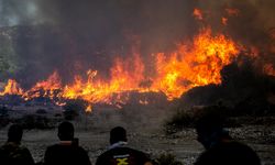 Perubahan Iklim Bikin Kebakaran Hutan di Eropa Makin Ganas