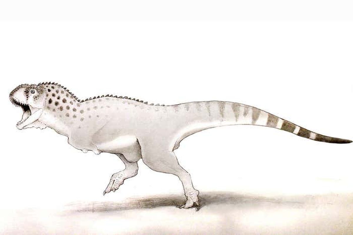 Chenanisaurus barbaricus, dinosaurus terakhir di Bumi