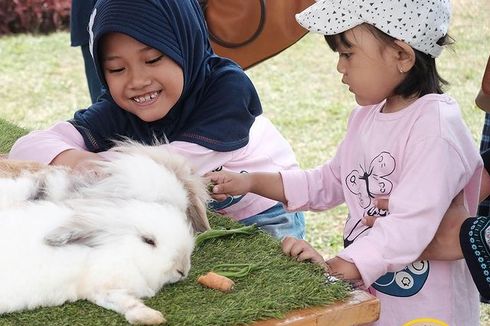 Panduan Lengkap Berwisata ke Happy Farm Ciwidey, Bandung