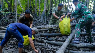 Kodam VI/Mulawarman Bersihkan 312 Kg Sampah di Mangrove Somber