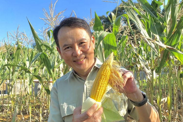 Agus Sudardji, Direktur PT Kuntum Hijau Lestari