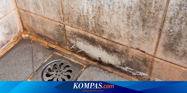 Mushukdagi teshiklari bolgan jinsiy aloqa kostyumlari