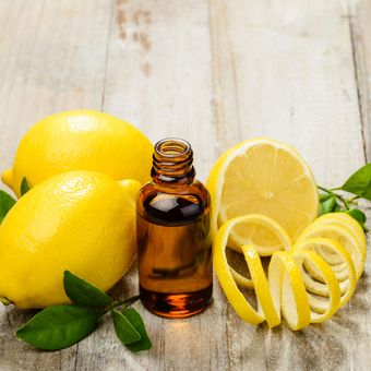 Ilustrasi minyak esensial lemon 