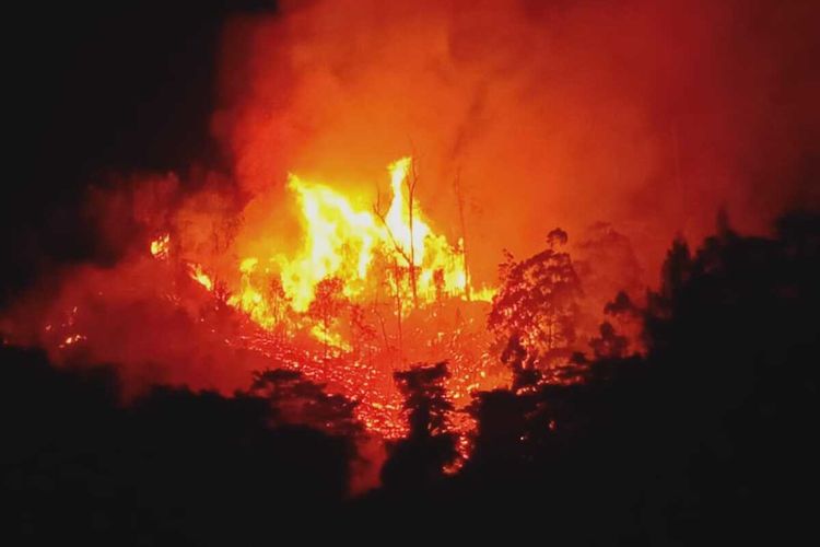 Kebakaran puluhan hektare hutan terjadi di kawasan Air Besar, Kecamatan Sirimau Ambon, Jumat maalam (25/1/2020)