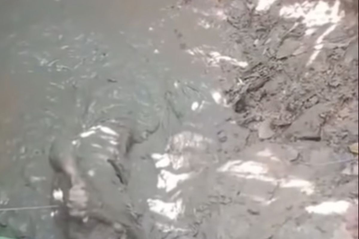 Potongan gambar seorang ibu diduga direndam di lumpur oleh anaknya.