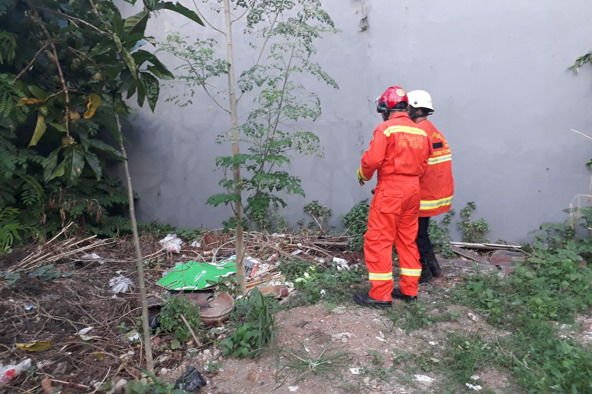 Petugas Suku Dinas Penanggulangan Kebakaran dan Penyelamatan (Sudin PKP) Jakarta Timur sedang mencari Ular Cobra yang meresahkan warga RT 02, RW 011, Kelurahan Malaka Jaya, Kecamatan Duren Sawit, Jakarta Timur, Jumat (13/12/2019).