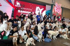 Pet Fest Indonesia 2024 Kembali Digelar, Hadirkan Cesar Millan
