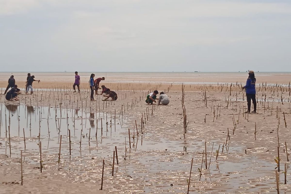Kelompok Sahabat Mangrove Desa Kersik bersama Pemerintah Desa Kersik rutin menanam mangrove dan pembangunan pegar (pemecah gelombang ambang rendah), sebagai bagian program Desa Wisata Kersik yang diinisiasi PHKT. 