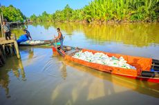 Mengantar Kebaikan bagi Orang Rimba sampai ke Tepi Hutan