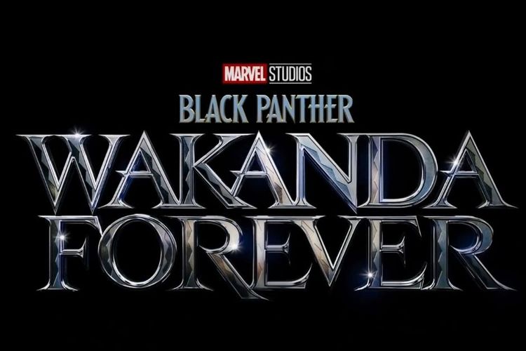 Black Panther: Wakanda Forever (2022)