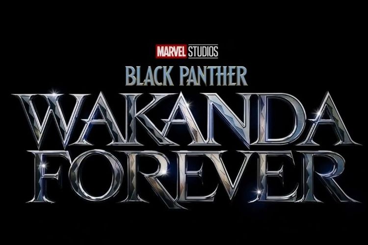 Killmonger is right again in Black Panther: Wakanda Forever - Polygon