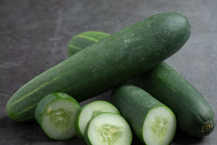 Timun yang sudah dipanen