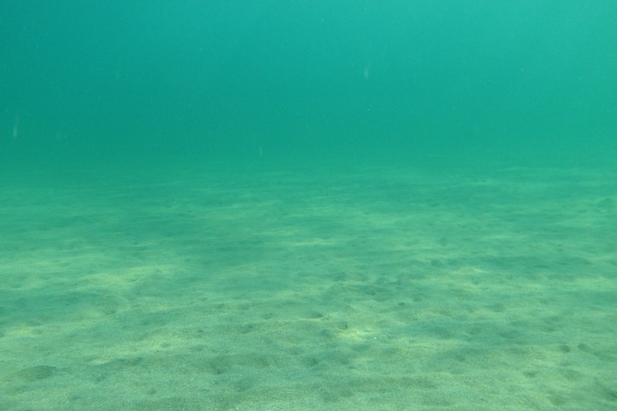 Presiden AS, Donald Trump percepat pemberian izin eksplorasi mineral penting di laut dalam. Keputusan ini dikhawatirkan merusak ekosistem. 