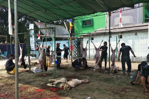 Warga Non-Muslim di Aceh Tengah Juga Kebagian Jatah Daging Kurban
