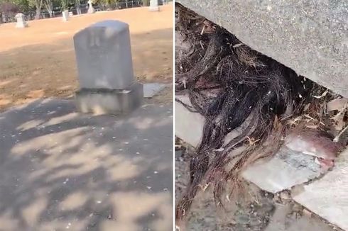 Video Viral Rambut Keluar dari Kuburan Tua, Perekamnya sampai Ketakutan