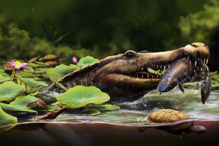 Ilustrasi buaa bermoncong panjang Wadisuchus kassabi. 