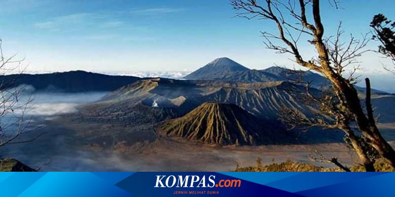 50 Hektare Padang Rumput Savana Di Bromo Semeru Tengger Terbakar