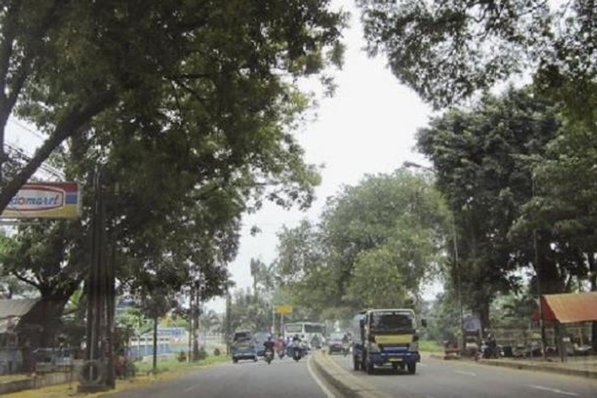 Suasana Jalan Raya Bogor di Cimanggis, Kota Depok, Rabu (26/10). Masih banyak pohon besar yang tersisa di kawasan ini. Dulu, sebagian besar adalah pohon asem. 
