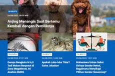 [POPULER SAINS] Anjing Menangis Saat Bertemu Pemiliknya | Gempa Bengkulu Berpusat di Zona Megathrust | Apakah Laba-laba Tidur