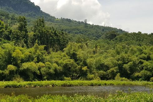 Tersembunyi di Tengah Hutan, Ini Danau Koliheret di Sikka Flores