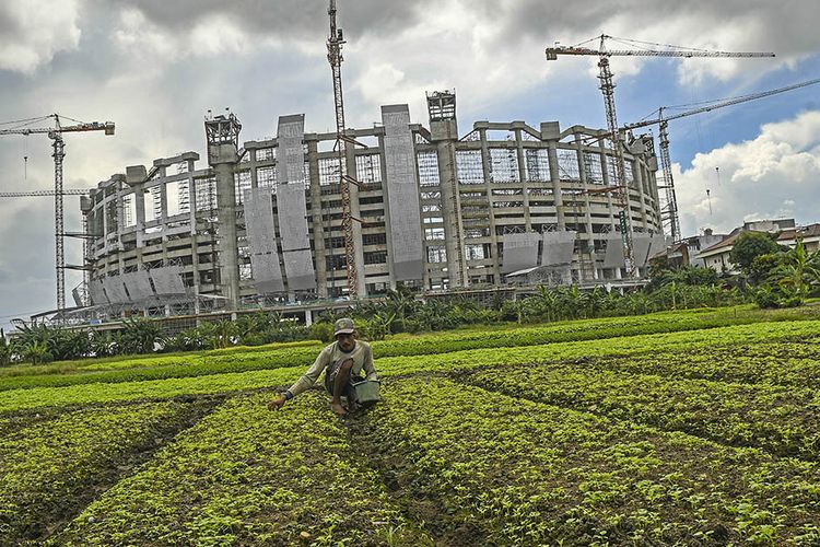 Petani menanam sayuran dengan latar belakang pembangunan Jakarta International Stadium (JIS) yang memasuki tahap pemasangan rangka atap di Papanggo, Tanjung Priok, Jakarta, Rabu (16/6/2021). Pemasangan rangka atap JIS yang memiliki berat 3.900 ton dengan bentang 269 meter tersebut menggunakan sistem 'heavy lifting' yaitu proses perakitan struktur utama dan struktur ruang dilakukan di lantai dasar untuk kemudian dilakukan pengangkatan secara bersamaan dengan sekali angkat.