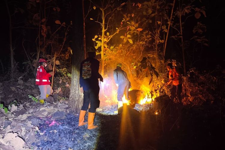 50 Kebakaran Lahan Terjadi di Magetan, Dipicu Aktivitas Warga untuk Buka Lahan
