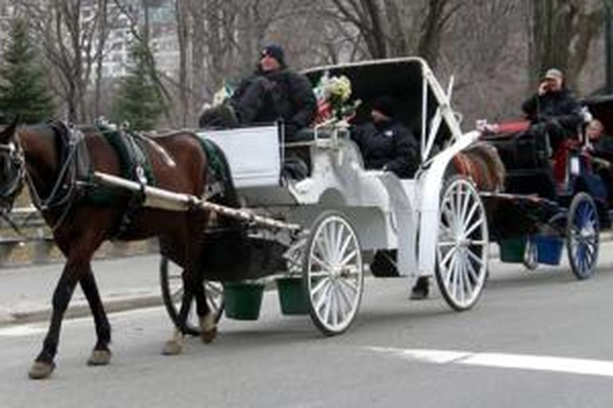 Delman sudah jadi kendaraan tradisi di Central Park, New York bagi wisatawan yang datang.