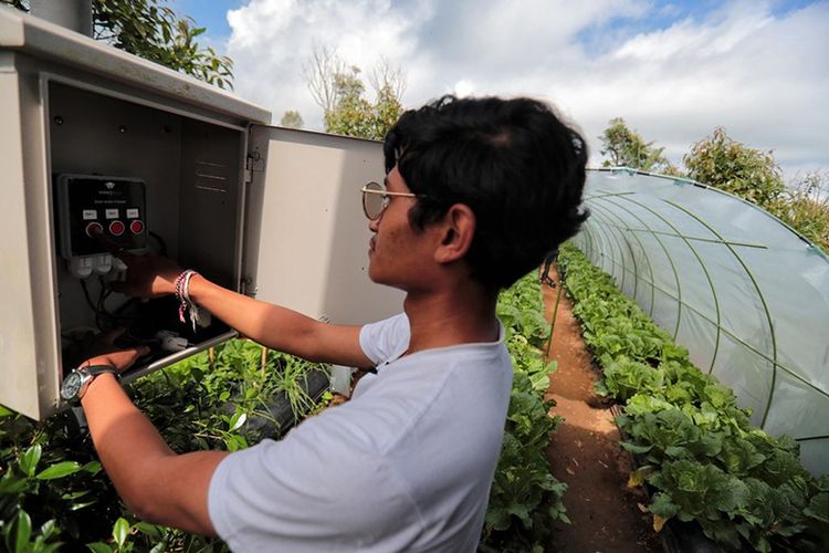 Kelompok PMK Gobleg mengembangkan pertanian hortikultura organik berbasis internet untuk segala sejak empat tahun lalu. Teknologi ini mampu mengefisienkan biaya dan tenaga, bahkan meningkatkan produksi sayur dan buah. 