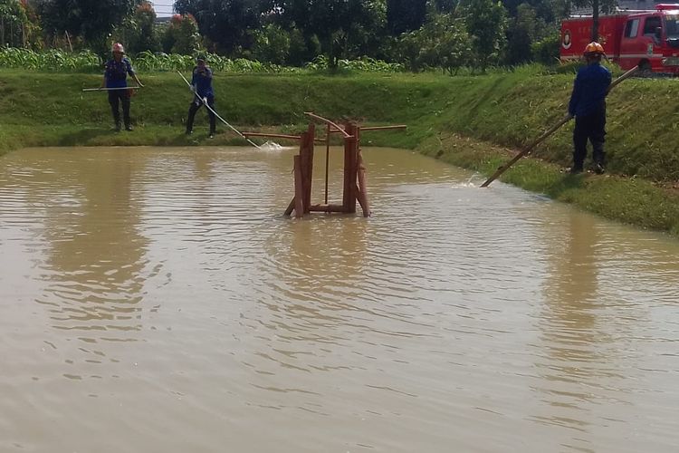 Petugas Damkar yang mencoba mengevakuasi satu ekor buaya peliharaan di showroom mobil Andri Motor Jalan Raya Siliwangi, Kota Bekasi. Buaya itu mendadak lepas dari kandang dan tiba-tiba menceburkan diri ke kolam pada Kamis (5/1/2023).