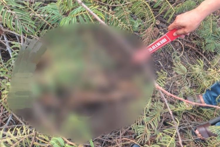 Kerangka Manusia Ditemukan di Lahan Kosong Pasar Kemis Tangerang, Polisi Tunggu Hasil Forensik