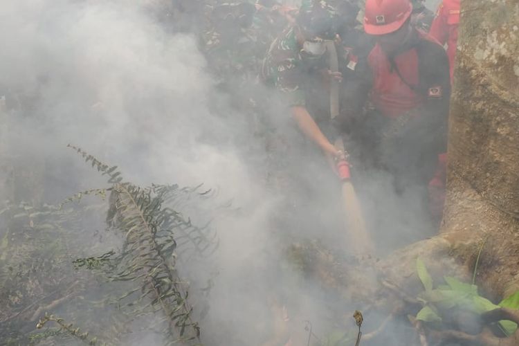 Panglima TNI Marsekal Hadi Tjahjanto mencoba mematikan api di kebun karet warga saat peninjau karhutla di Kelurahan Terkul, Kecamatan Rupat, Kabupaten Bengkalis, Riau, Sabtu (23/2/2019).