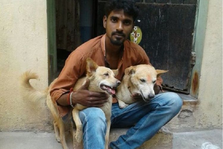 Dua anjing bernama puppy ini berhasil menangkap seorang penjahat di kota Chennai, Madras, India.
