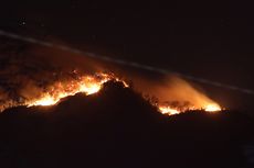 Kebakaran Hutan, 4 Pendaki Terjebak di Gunung Ranti Banyuwangi