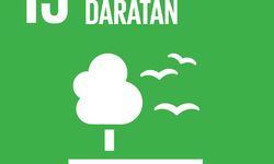 Daftar Indikator Tujuan 15 SDGs Ekosistem Daratan