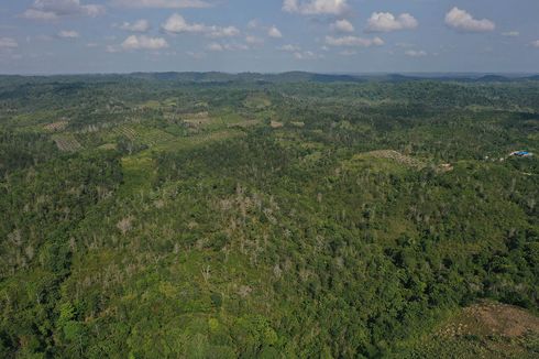 Bupati Penajam Paser Utara Bikin Peraturan Mengatur Harga Tanah di Lokasi Ibu Kota Negara 