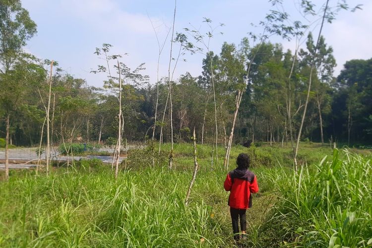 Lokasi tanah kas desa di Karanggeneng, Umbulharjo, Cangkringan, Kabupaten Sleman yang rencananya akan menjadi tempat pembuangan sementara selama tempat pemrosesan akhir regional Piyungan ditutup.