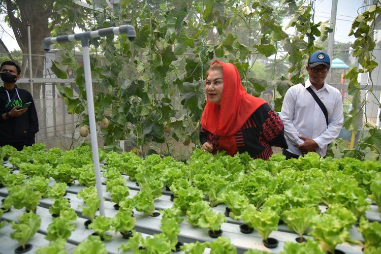 Walkot Semarang Mbak Ita saat Kick Off Urban Farming di Sekolah Nusaputera, Jalan Karang Anyar Nomor 574, Gabahan, Semarang Tengah, Rabu (25/10/2023).