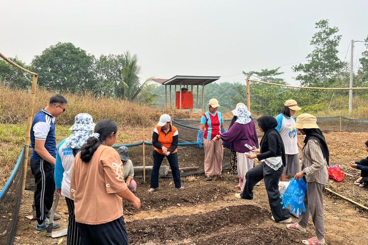 Dorong Ketahanan Pangan, Transmigran Gerbang Mas Perkasa dan TEP UI Sulap Lahan Tandus Jadi Pekarangan