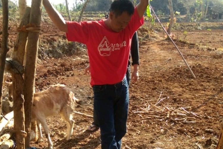 Kambing Milik Warga Desa Purwodadi, Kecamatan Tepus, Gunungkidul, Mati diduga dimangsa Hewan Liar (dokumentasi pemerintah Desa Tepus)