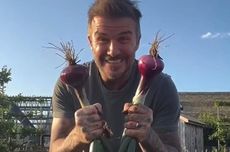 BGN: Dapur SPPG Tak Sesuai SOP, Insentif Dipangkas