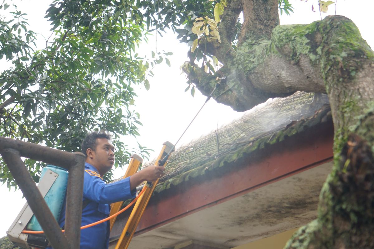 Ulat Bulu Serbu Sekolah di Madiun, 10 Siswa Dipulangkan