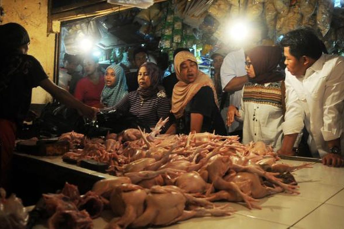 Komisi Pengawas Persaingan Usaha (KPPU) saat melakukan sidak harga daging ayam di Pasar Bogor, Senin (6/2/2017). 