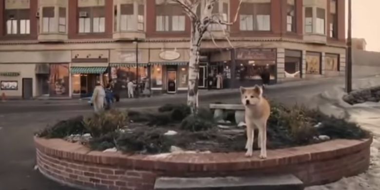 Salah satu cuplikan film Hachiko ketika anjing ini menunggu kepulangan Parker di stasiun.