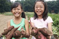 Mau Anak Lebih Aktif, Ajak Saja Berkebun...